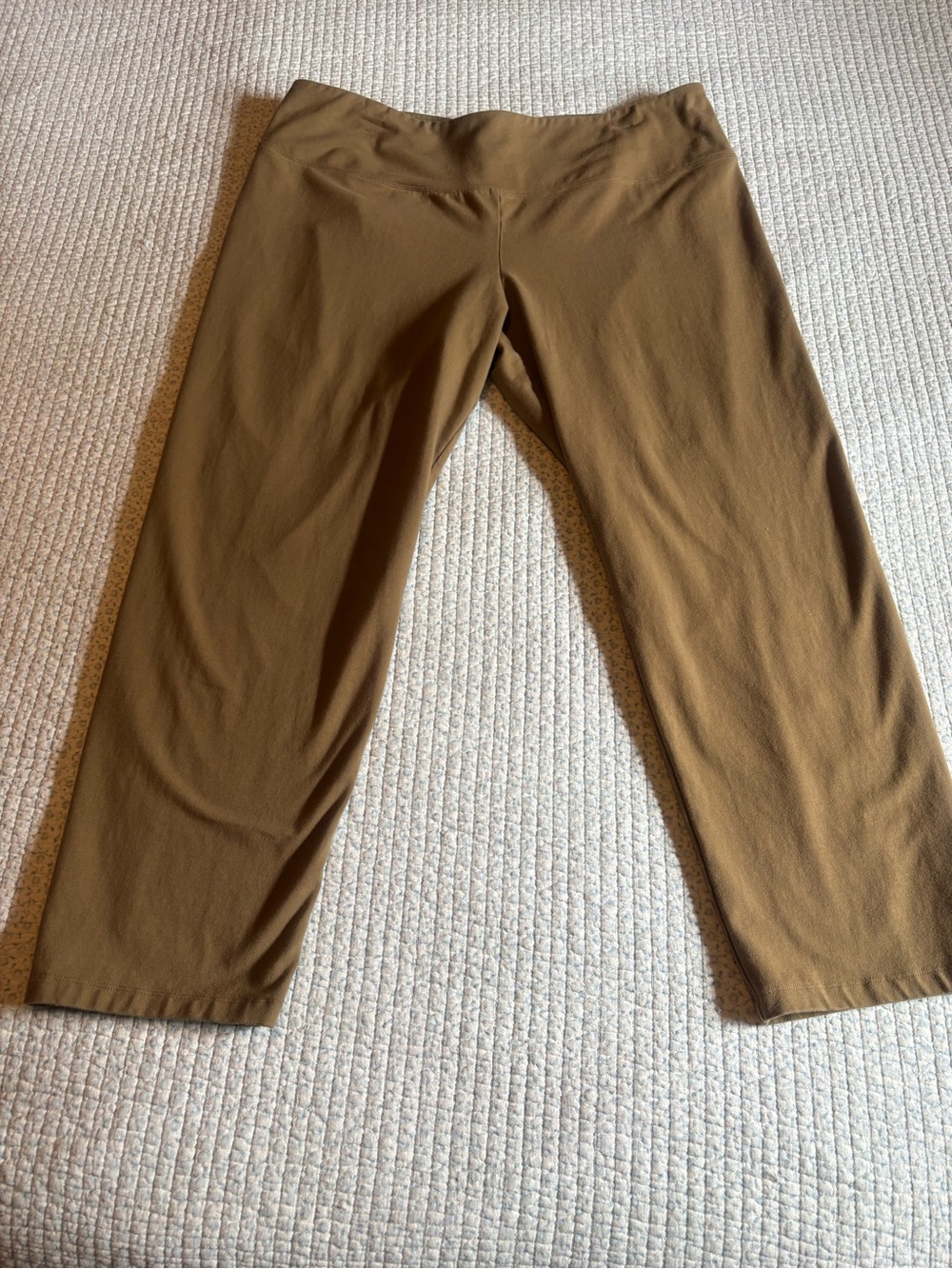 Woman with Control by Renee Greenstein Pants